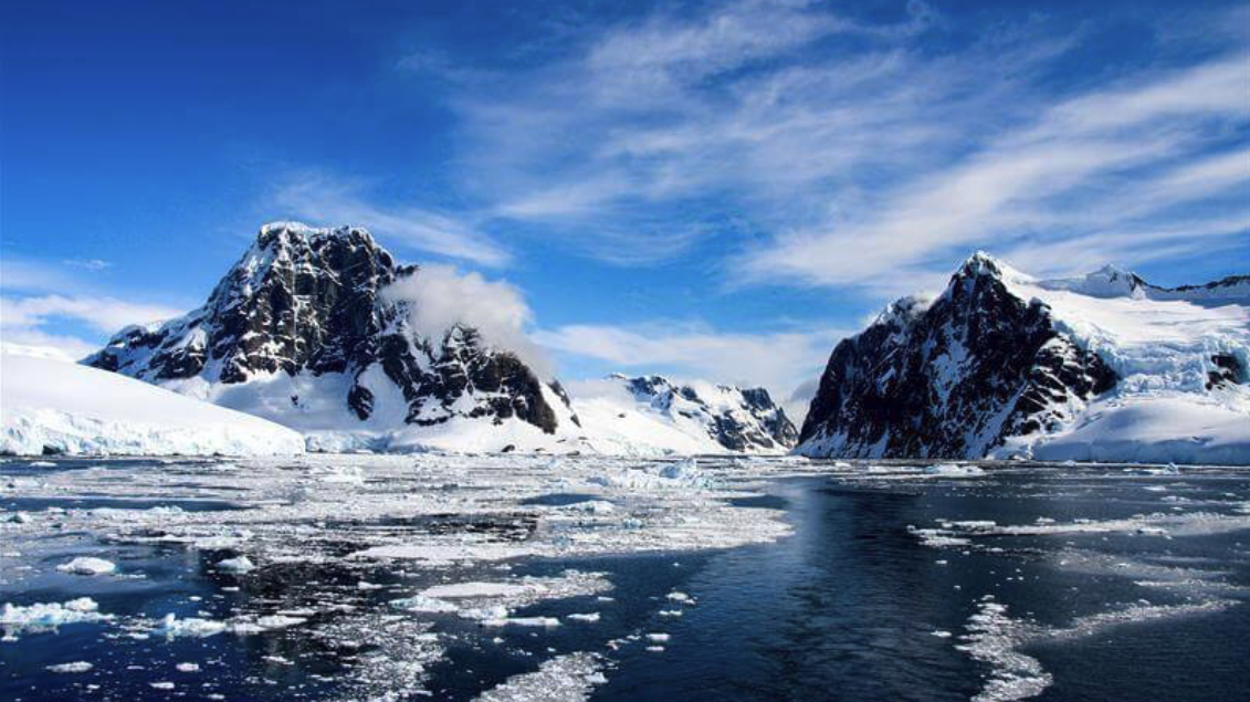 Antarctic & Falklands Adventure