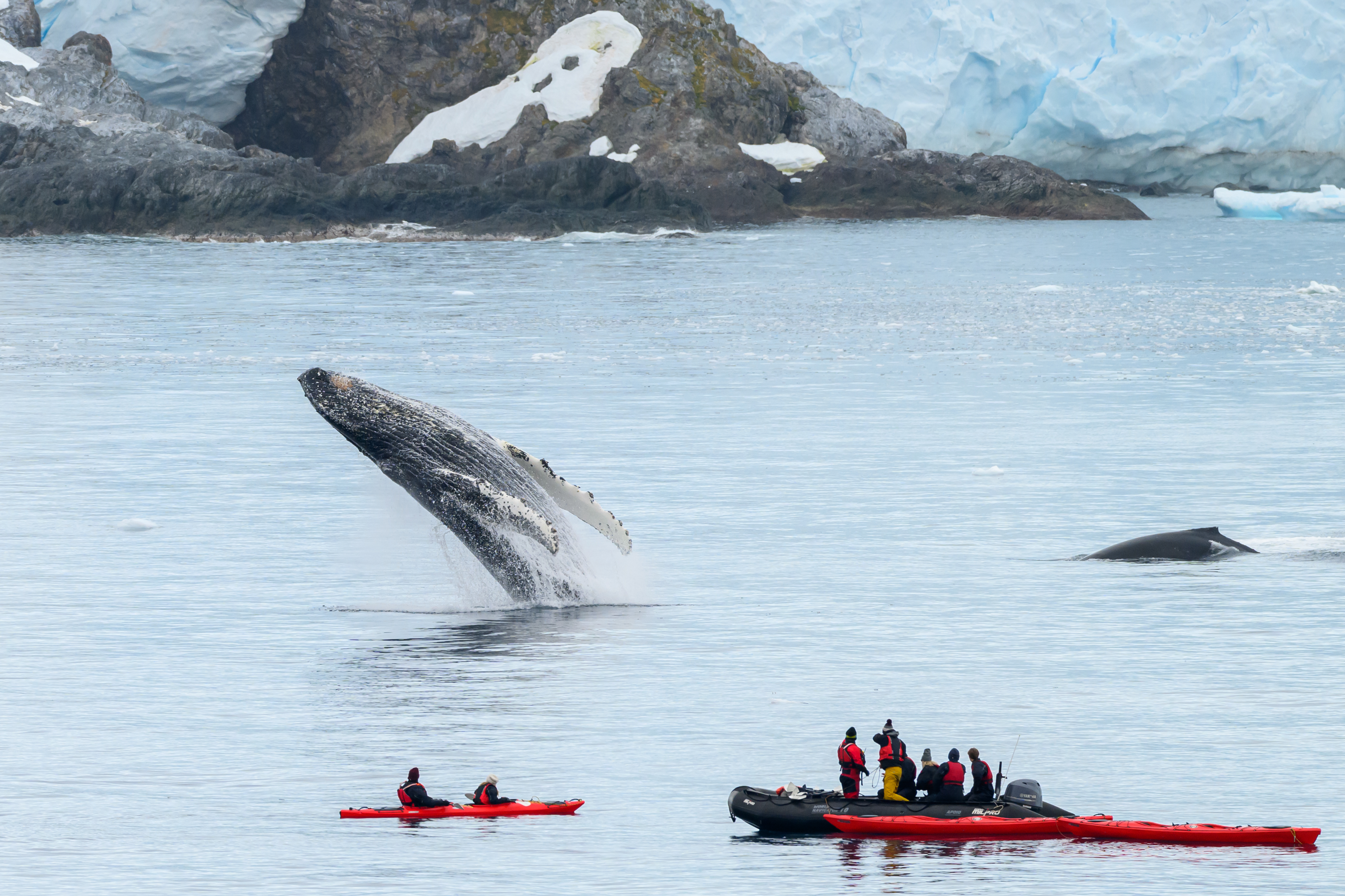 Exploring the Last Continent