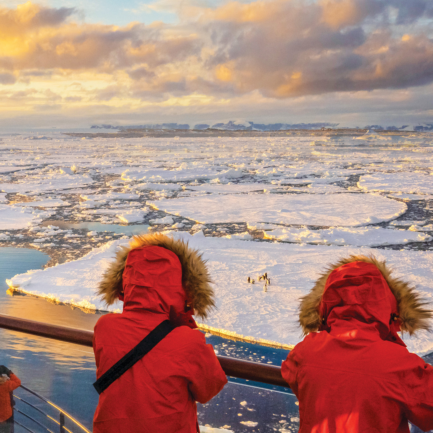 Preview: A Special Offer for Onboard Guests