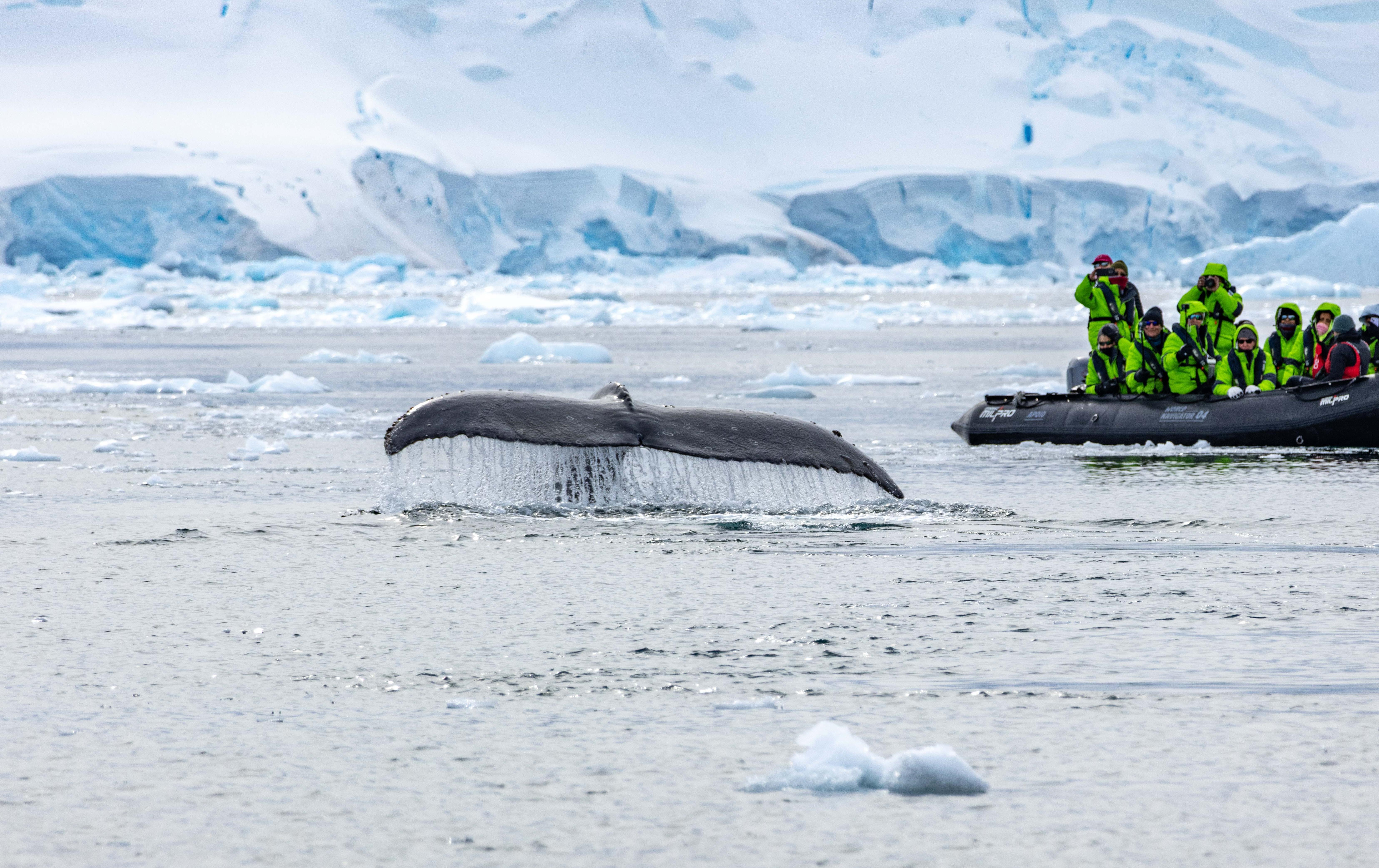 EXPLORING THE LAST CONTINENT