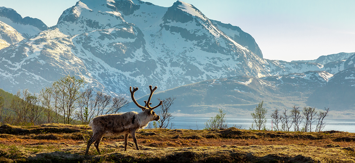 Tenerife to Longyearbyen