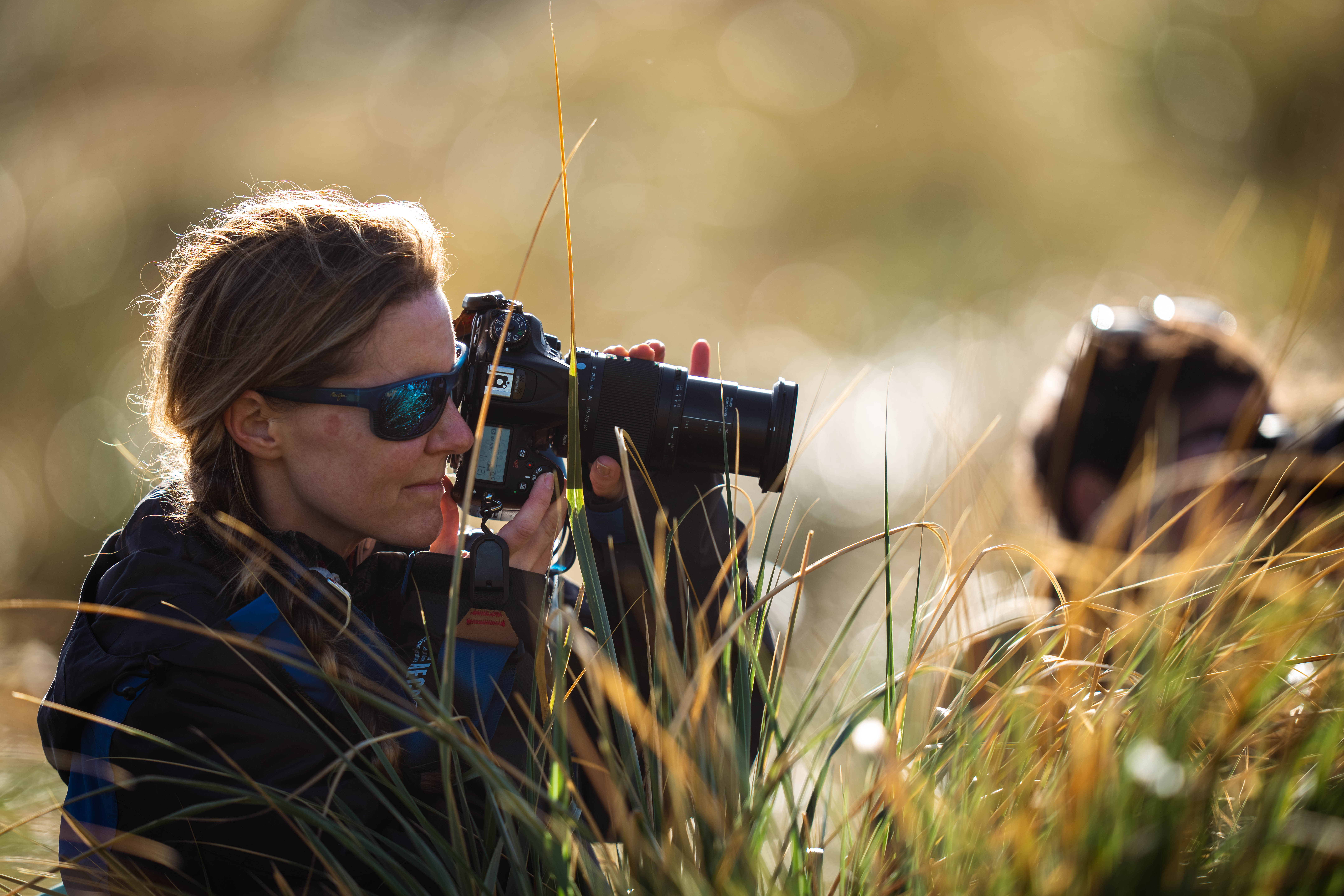 South Georgia & Antarctica: Through the Lens
