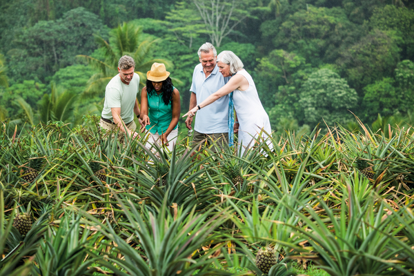More Society Islands & Tahiti