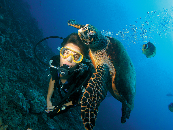 More Tuamotus & Society Islands