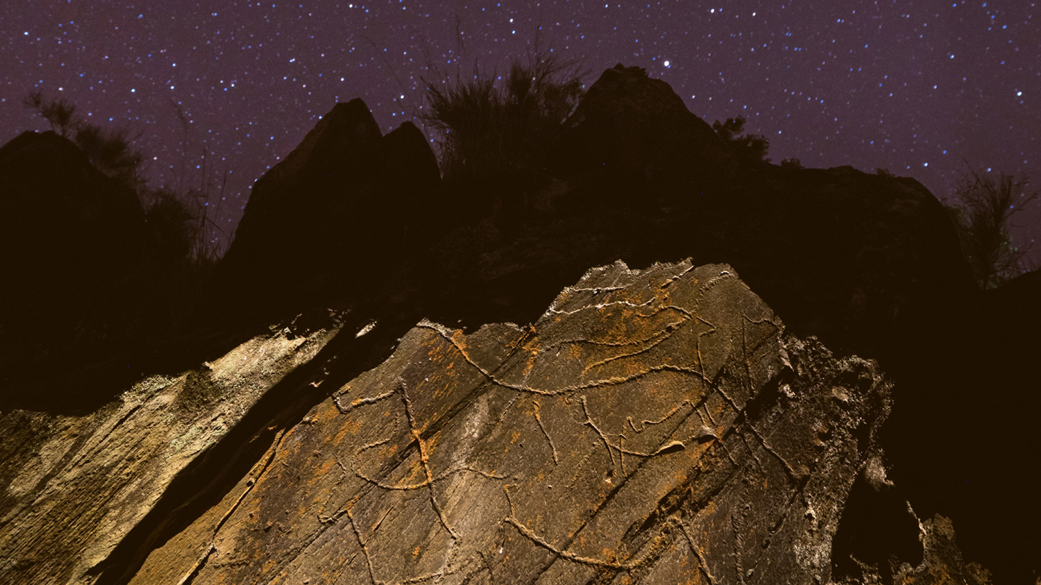 Private night visit to prehistoric rock art