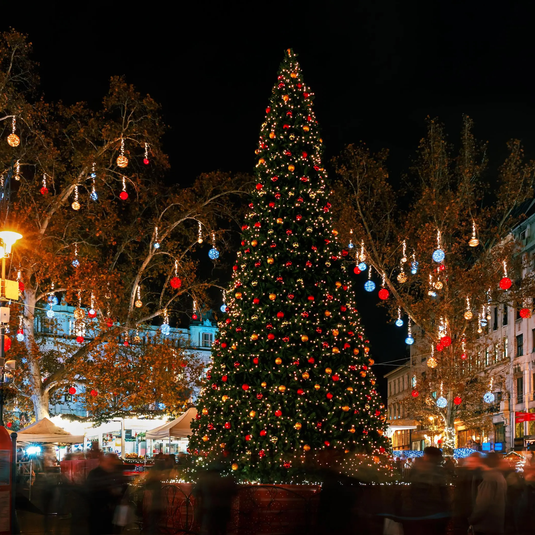Christmas Markets on the Danube