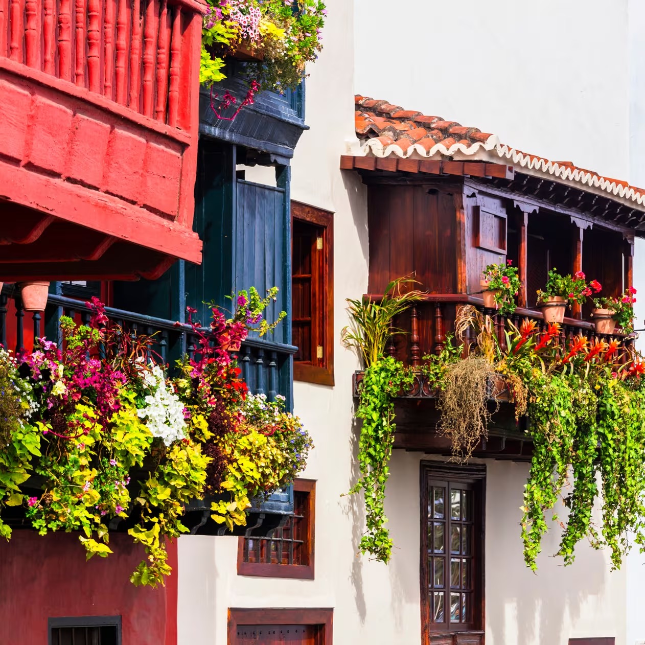 Atlantic Island Chronicles