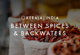 Signature India | Between Spices & Backwaters