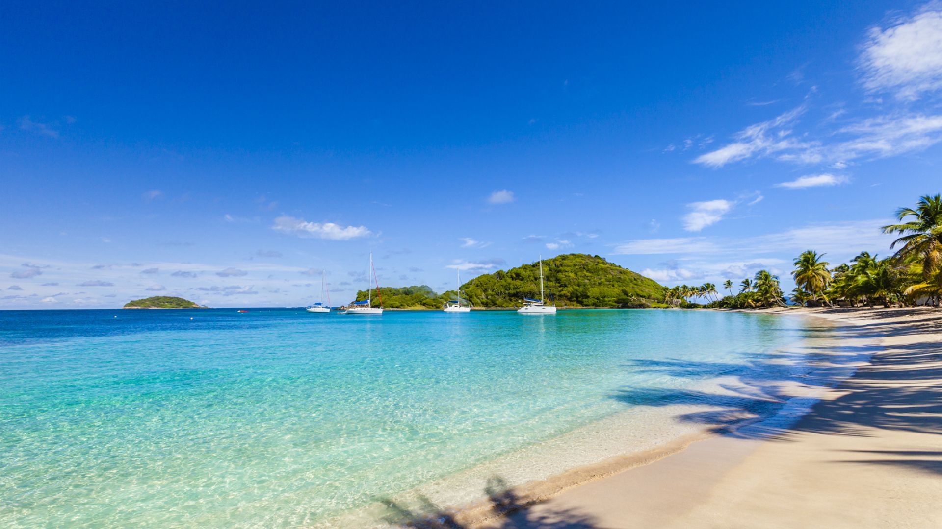 A Journey of Cultural Immersions in the Caribbean