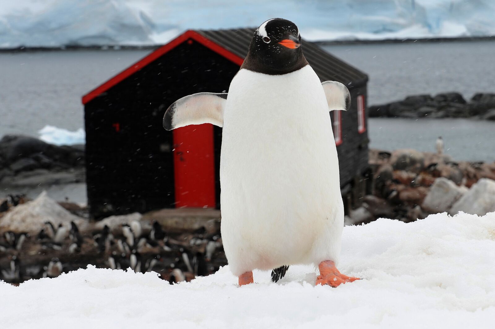 5. Visit historical sites and scientific facilities