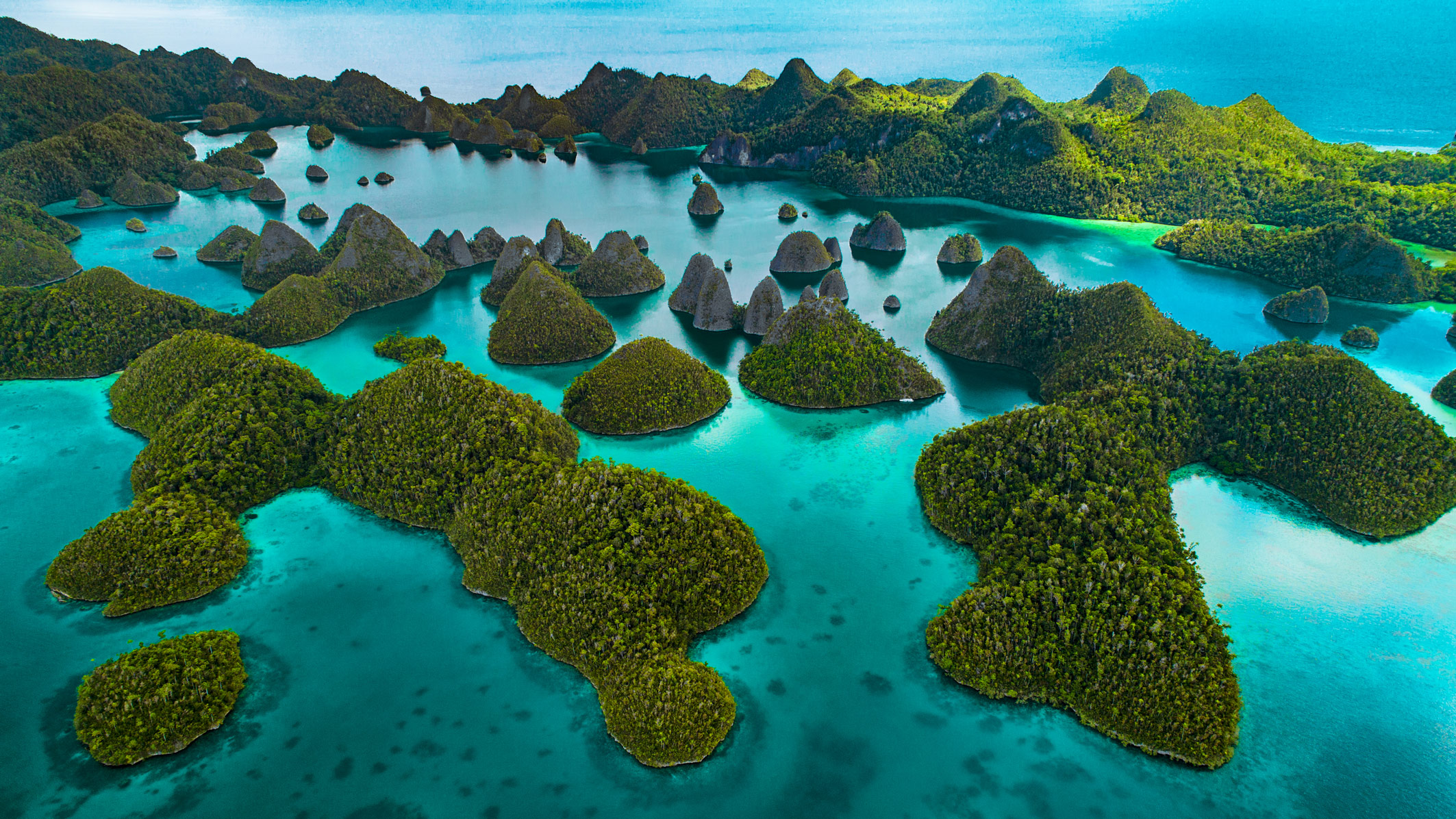 Idyllic Raja Ampat & Cenderawasih Bay