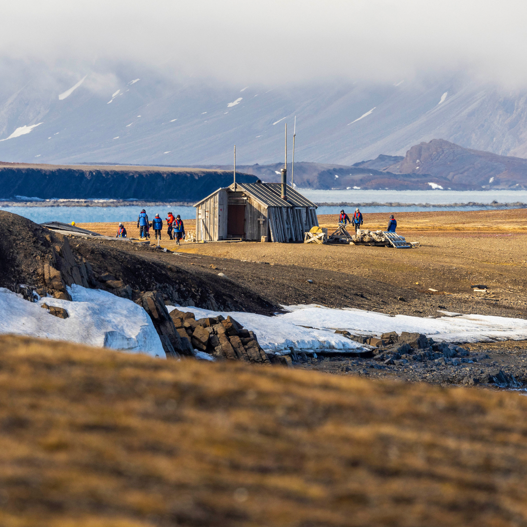 Arctic Golden Autumn & Northern Lights