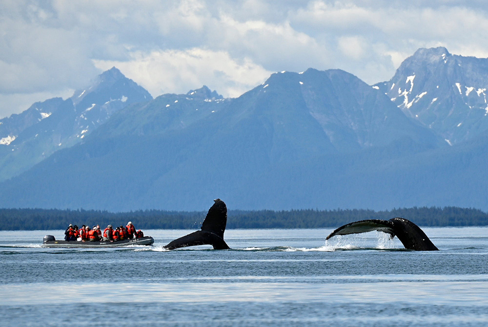 Wildlife and Wilderness, Up Close
