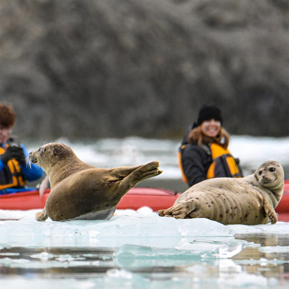 UnCruise Alaska Adventure Cruises