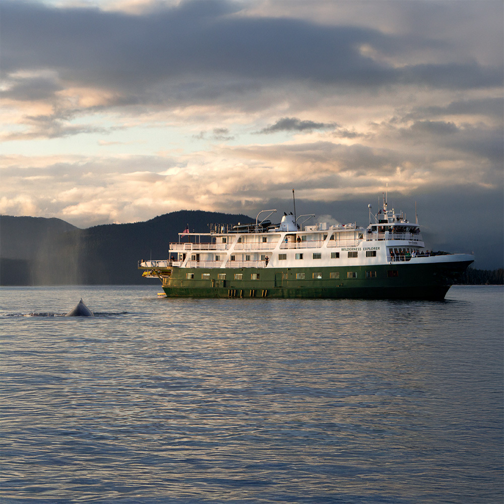 The 30th Anniversary Offer