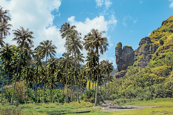 Marquesas, Tuamotus & Society Islands