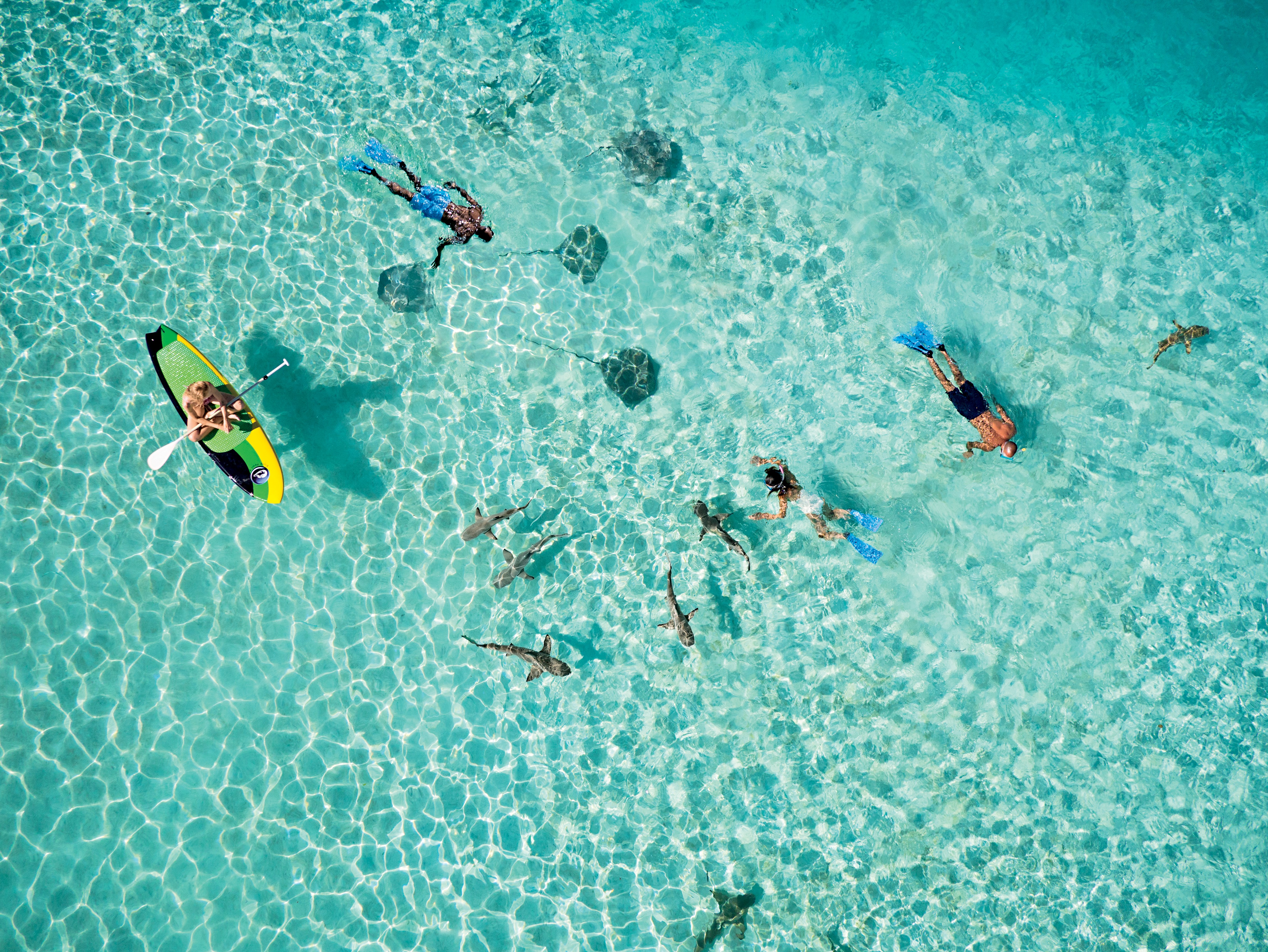 More Tuamotus & Society Islands