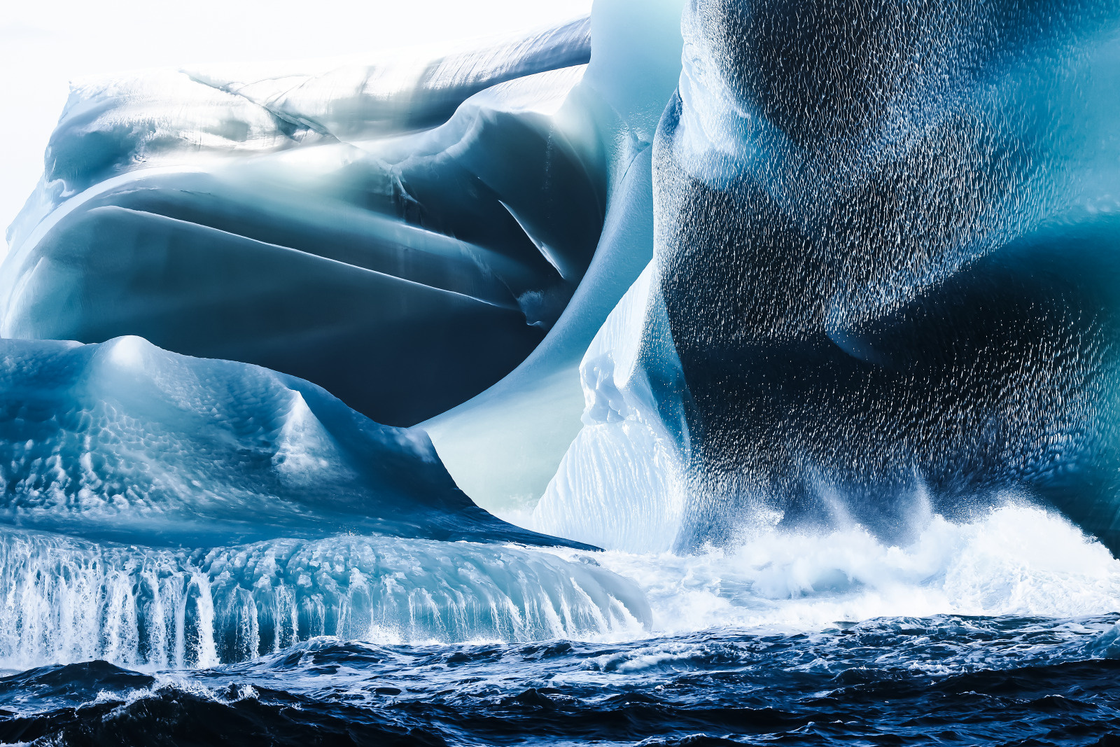 Antarctica: The White Continent – with Smithsonian Journeys