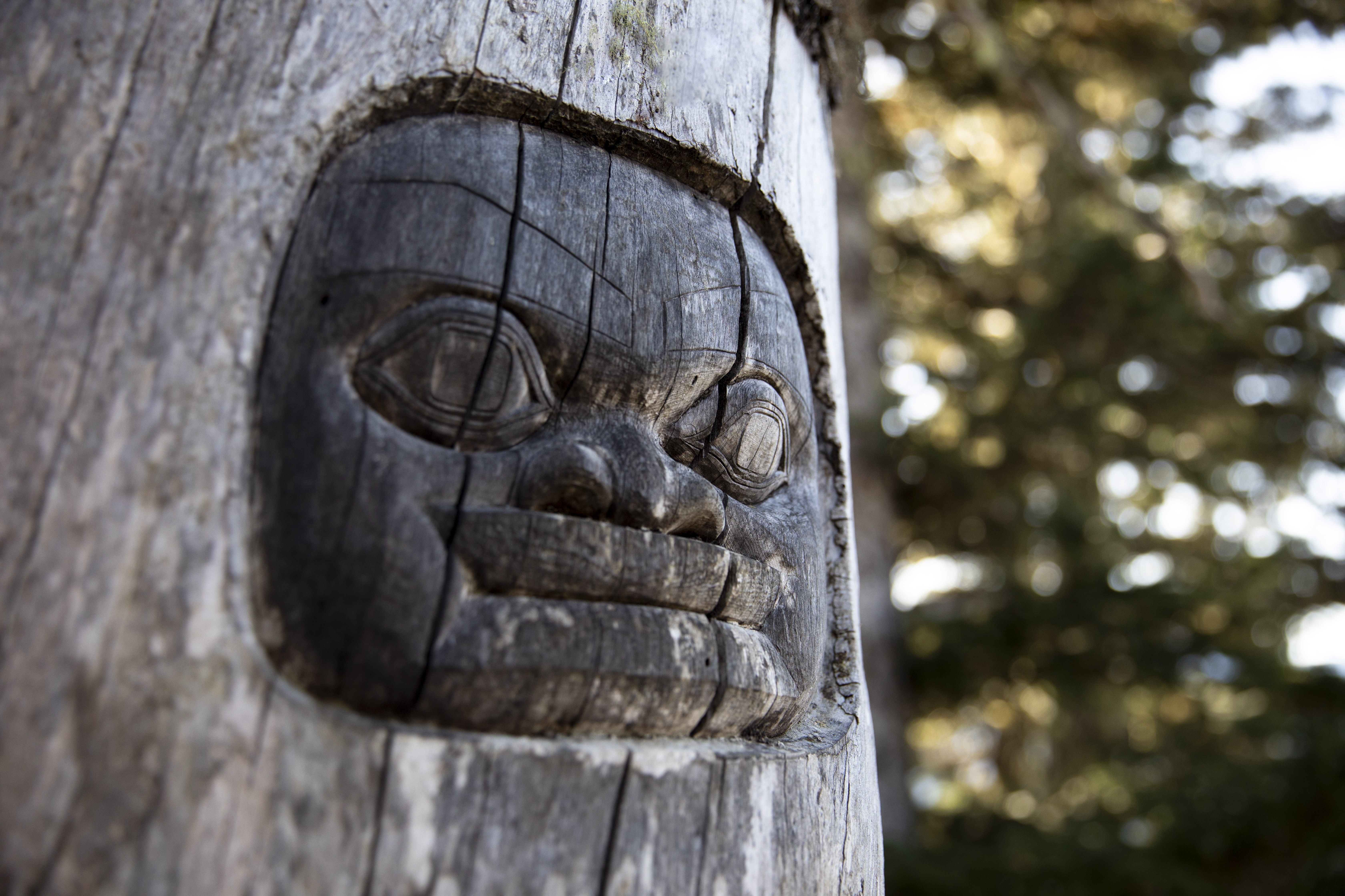 INSIDE PASSAGE RAINFOREST