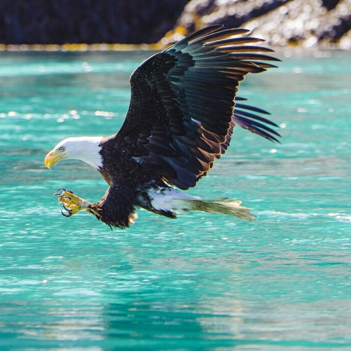 Alaska's Inside Passage and Tracy Arm