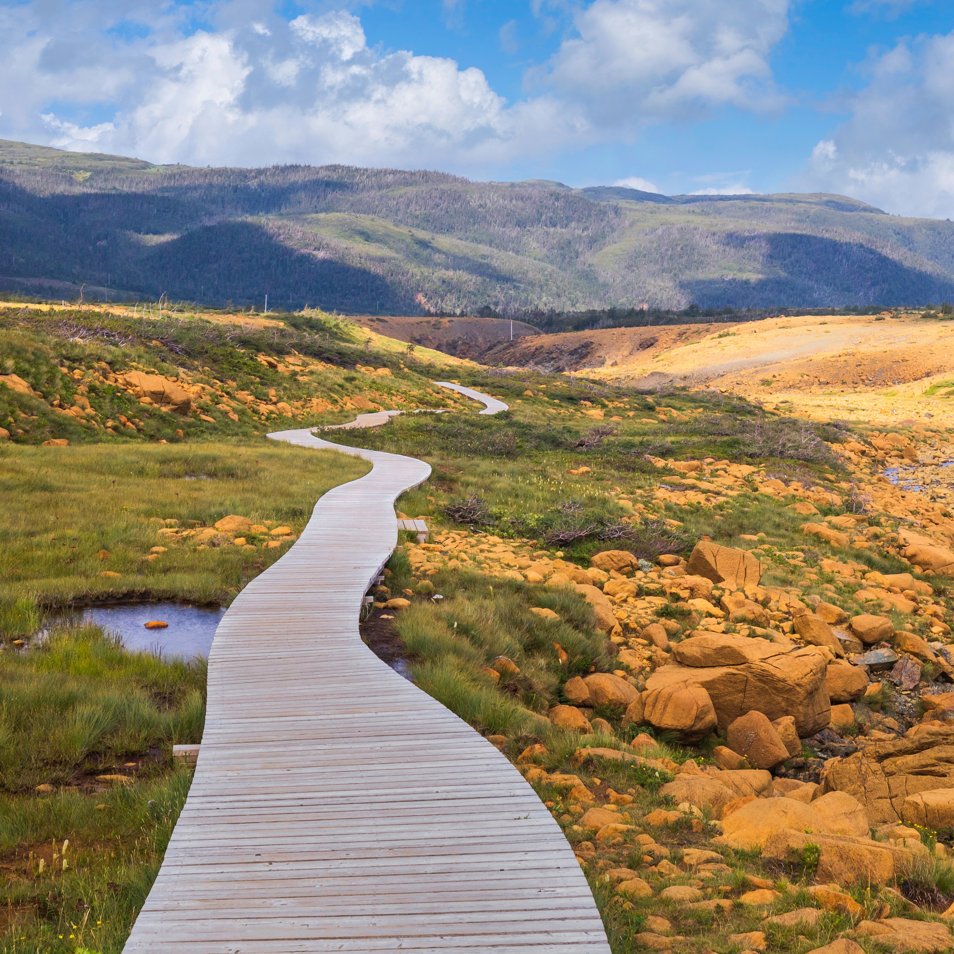 The Canadian Maritimes and Newfoundland
