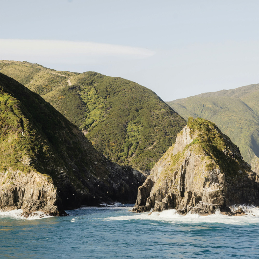 NEW ZEALAND: NORTH & SOUTH