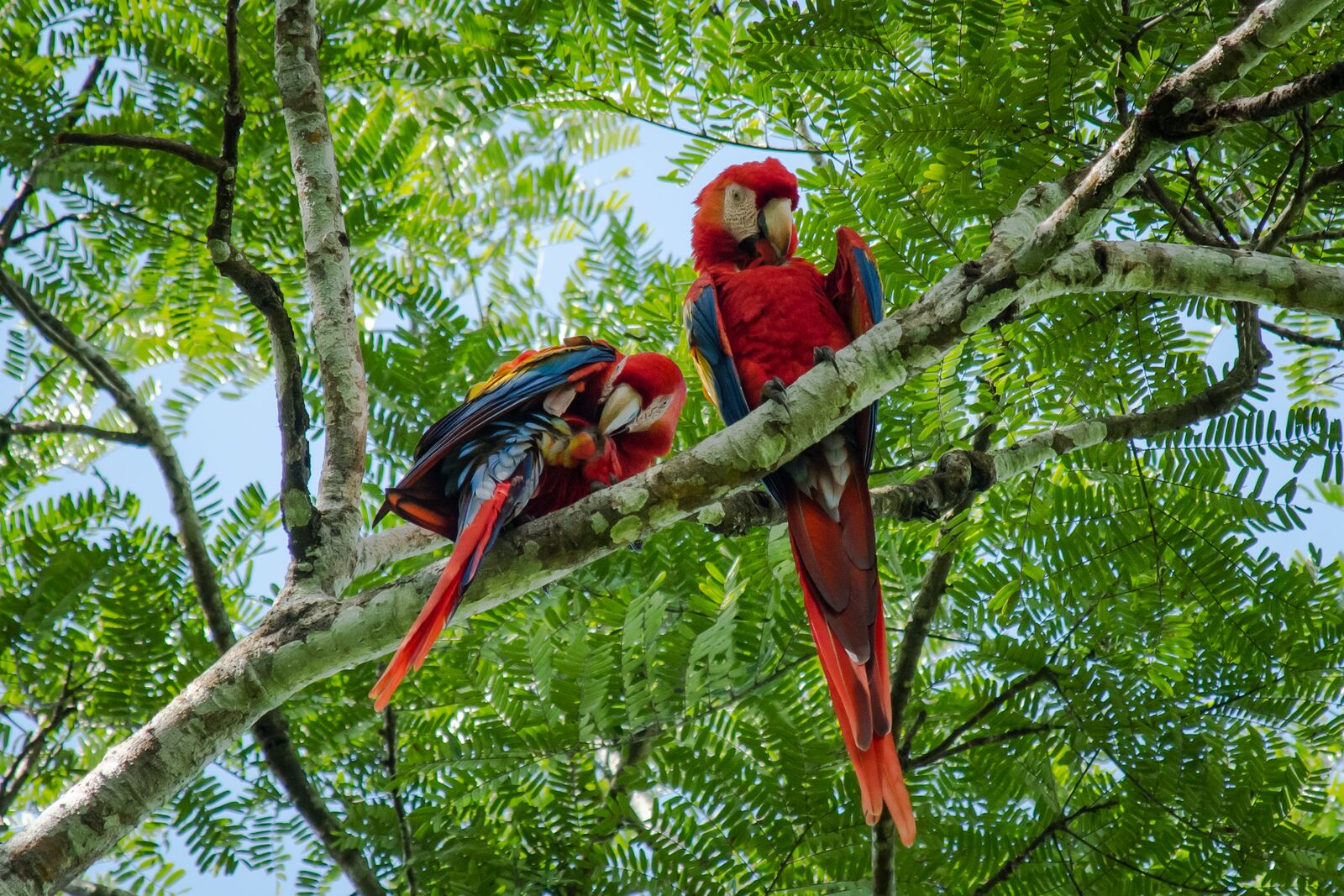 Secrets of Central America