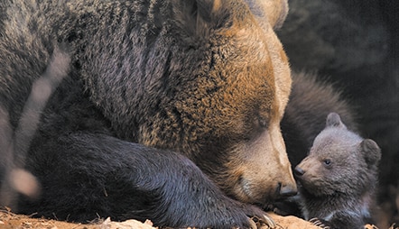 VANCOUVER TO SEATTLE