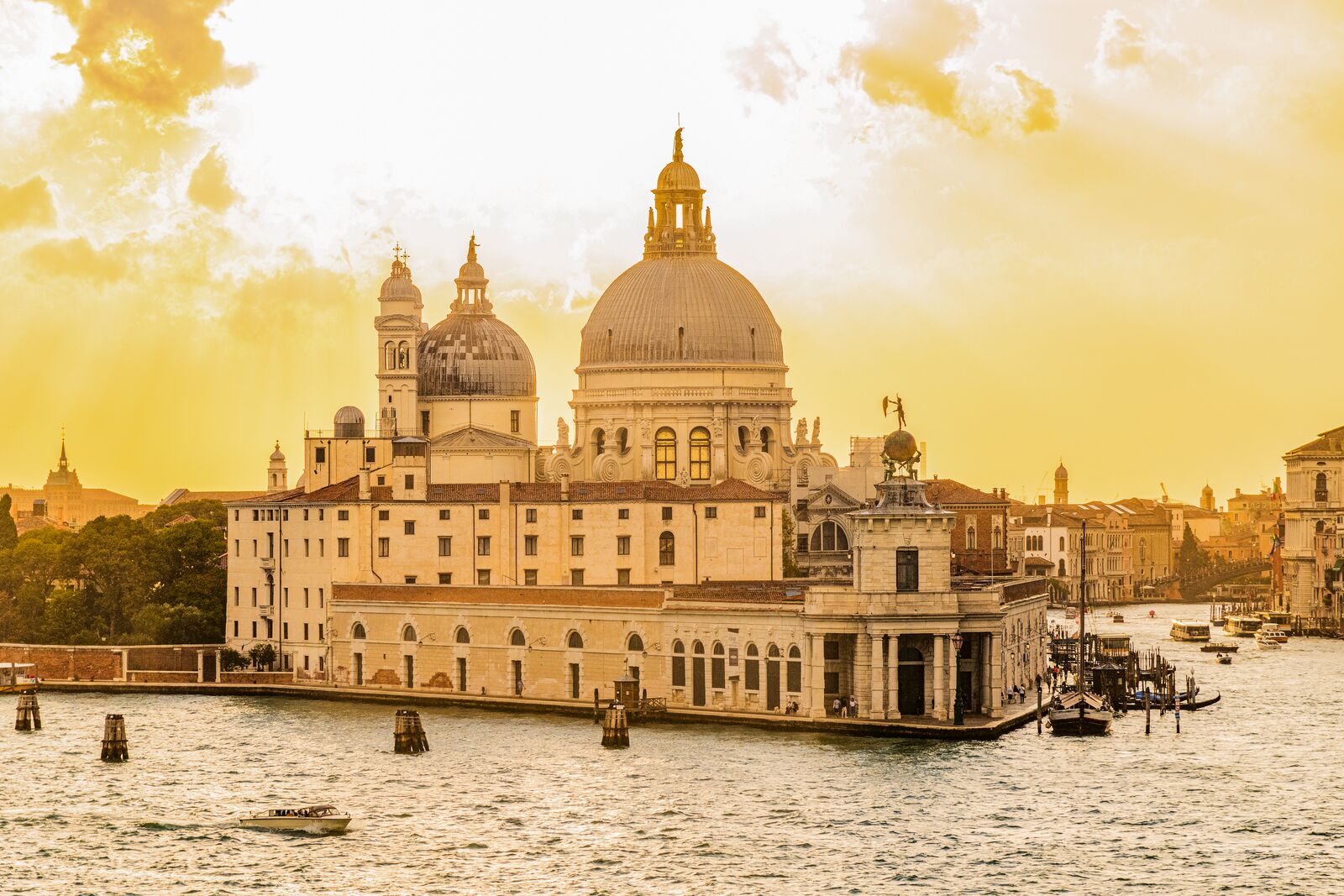 A Celebration of Art Featuring the 61st Venice Biennale