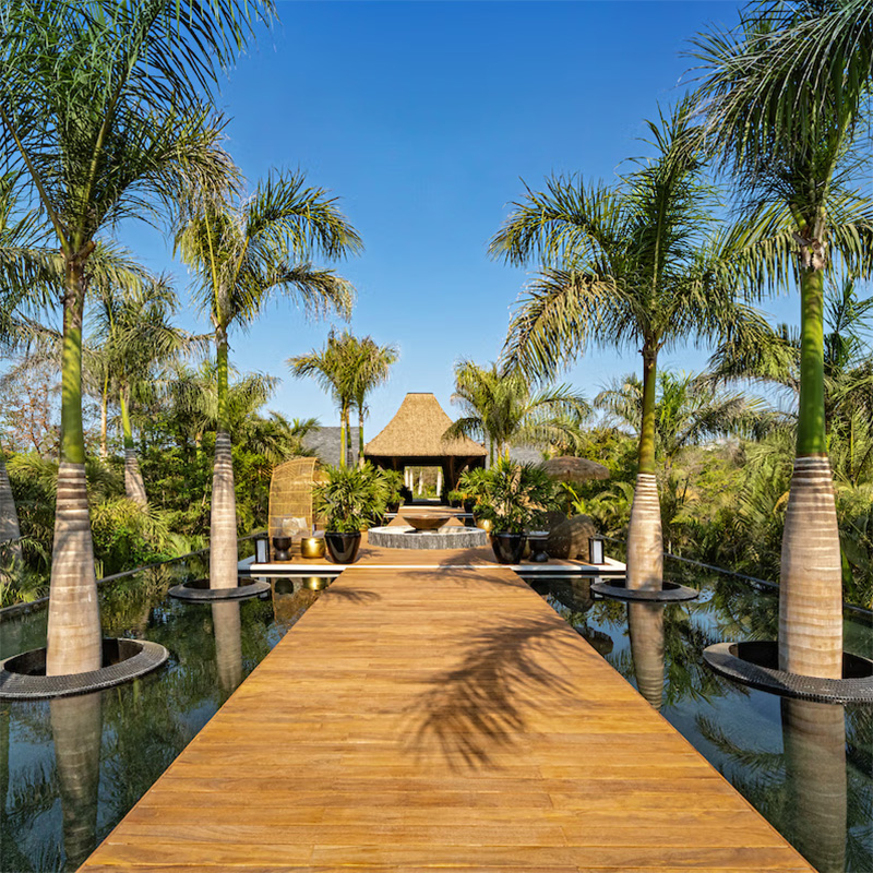 Where Luxury Meets Imagination