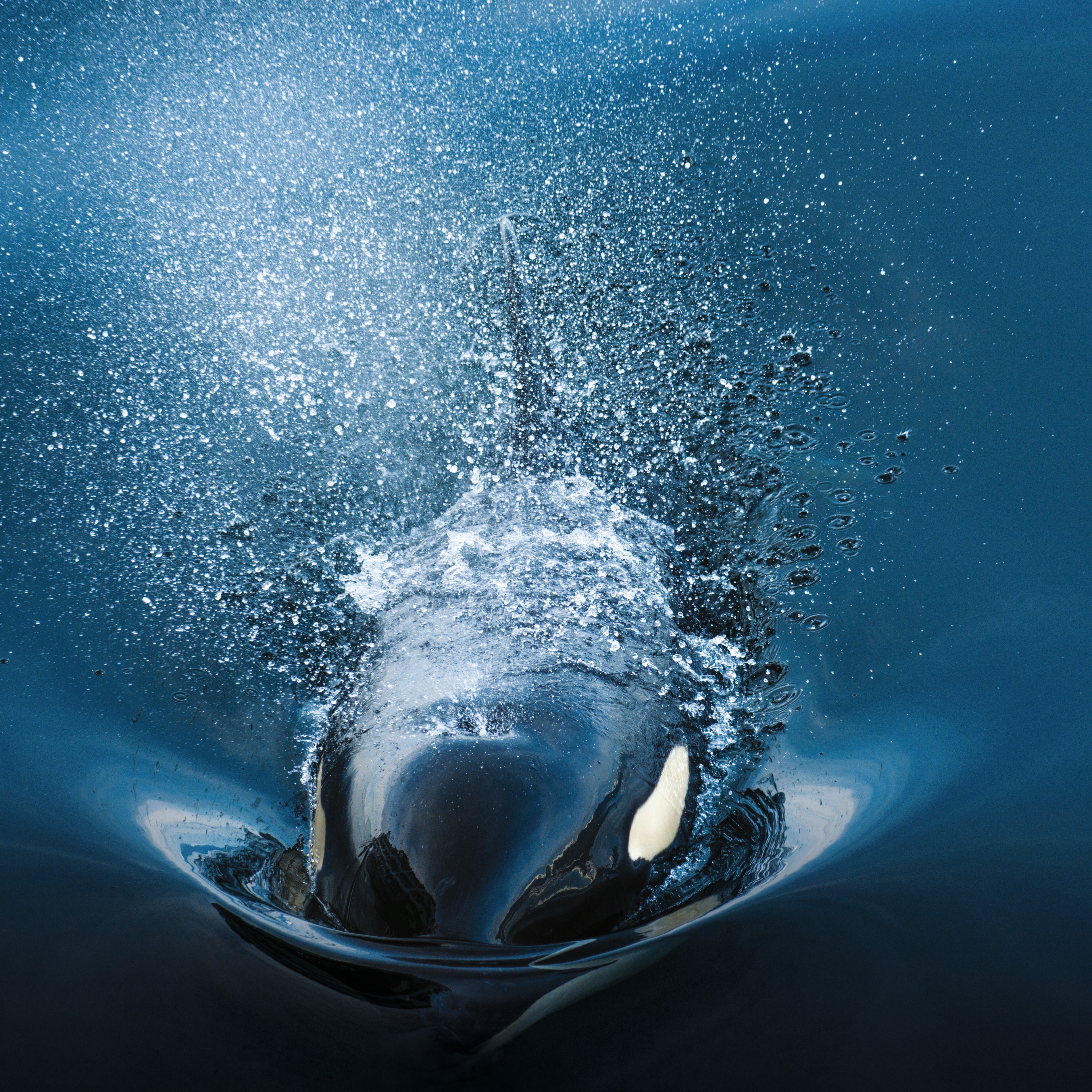 Canadian Voyage Highlights