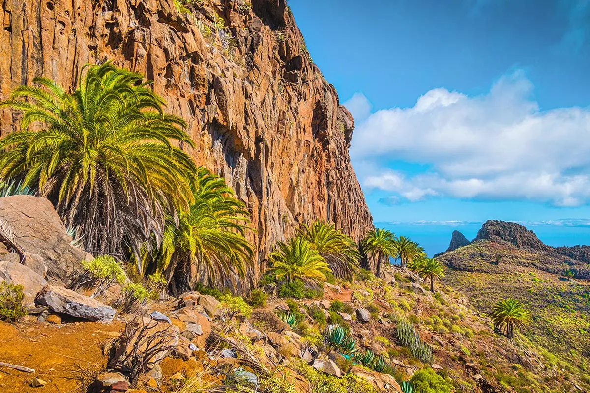 Las Palmas Roundtrip