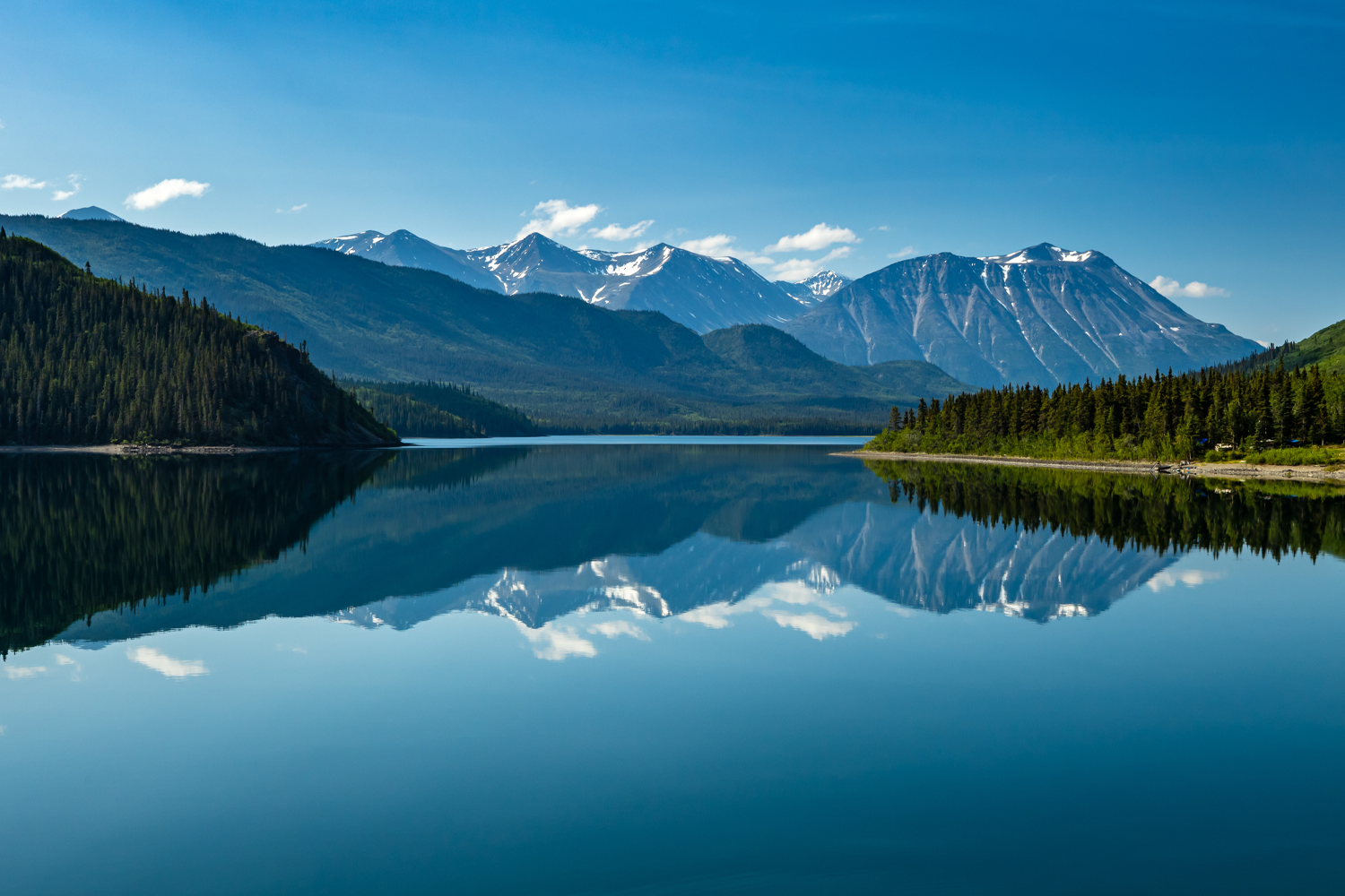 LIMITED TIME OFFER: $1,000 Shipboard Credit on 2026 Alaska Voyages