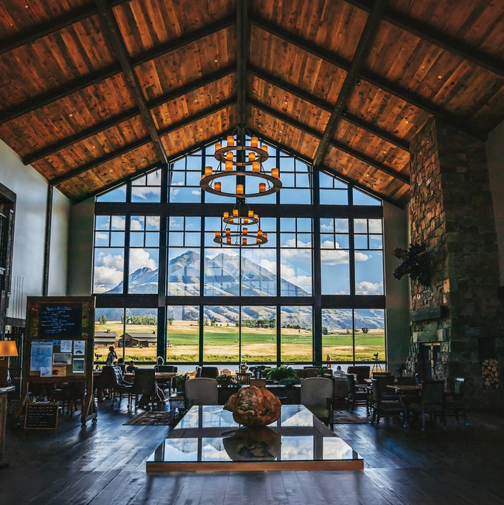 Lover of Luxury in the Wild