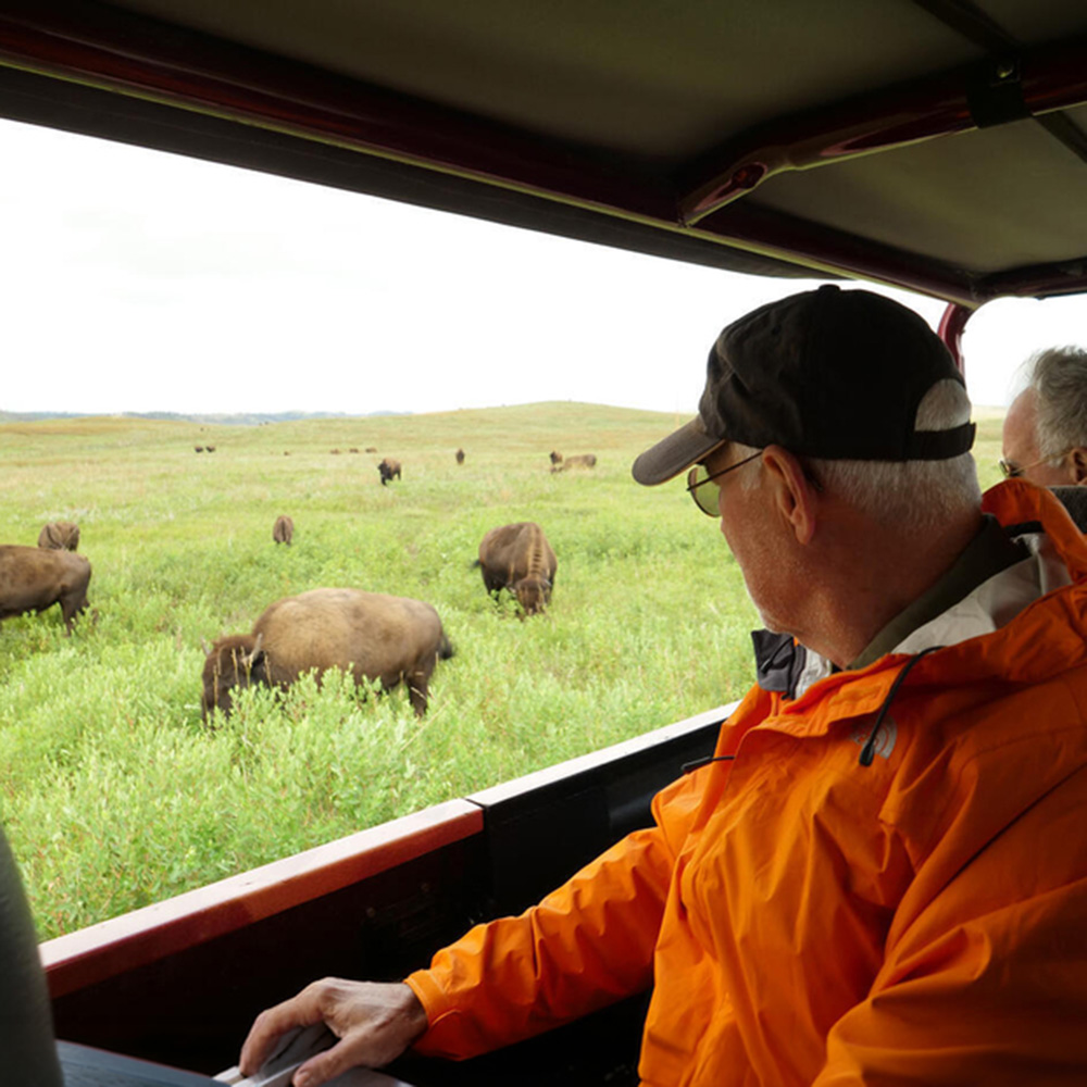 The Active Adventurer