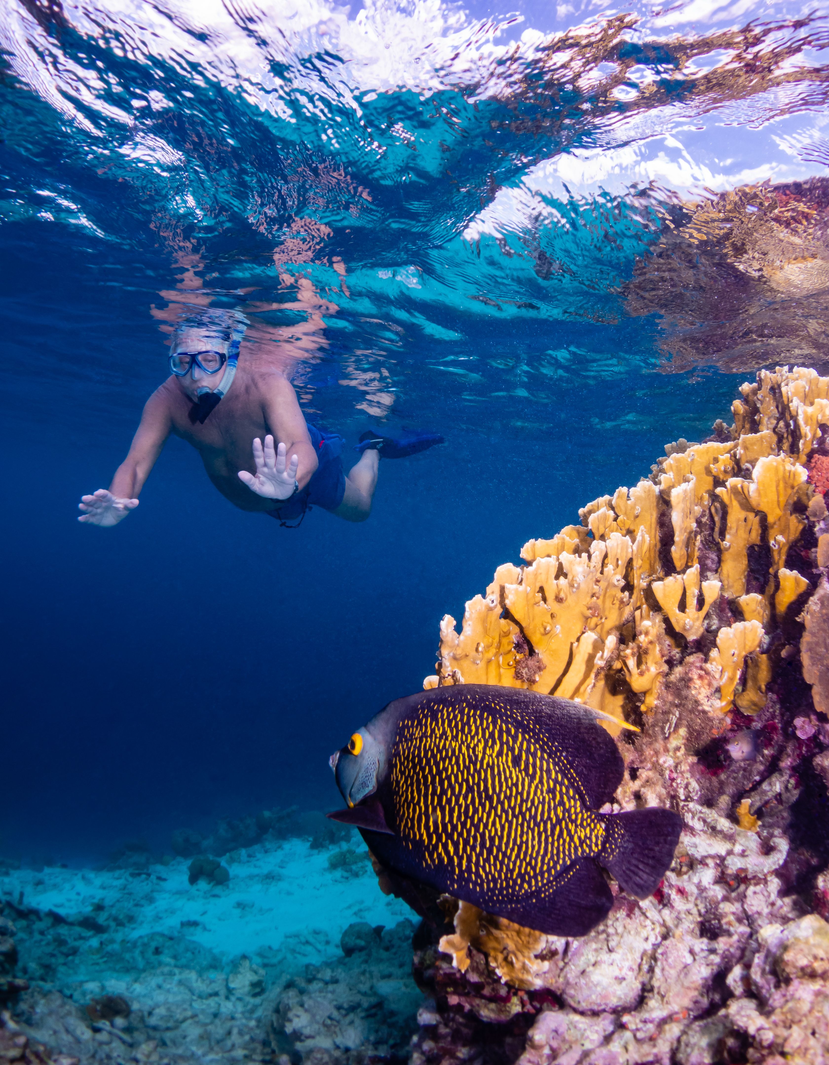 Caribbean & Central America