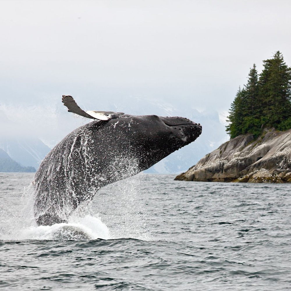 Alaska