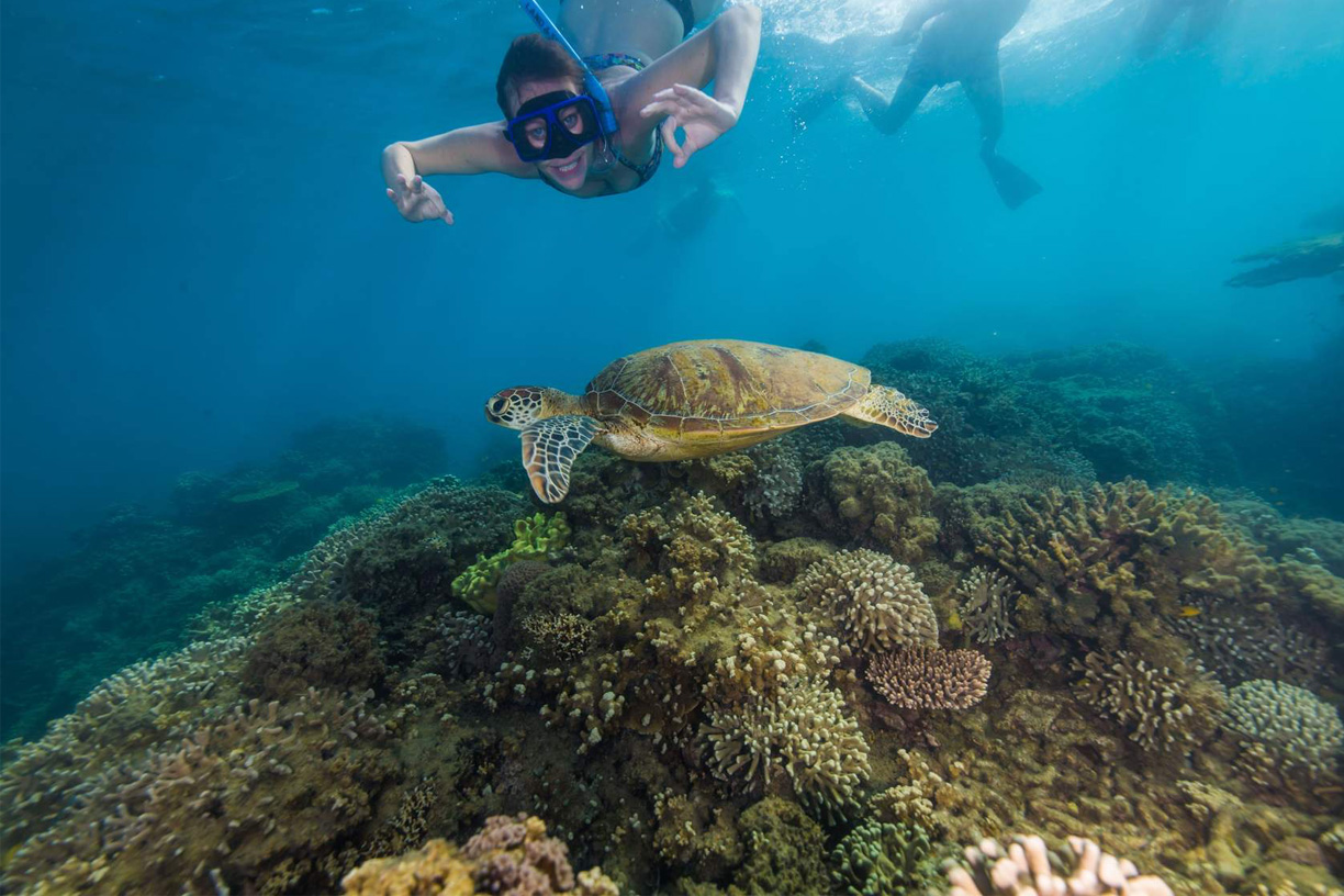 Australian Wildlife Journeys