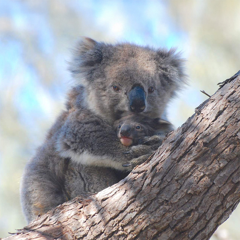 Experience Australia in a way few ever do