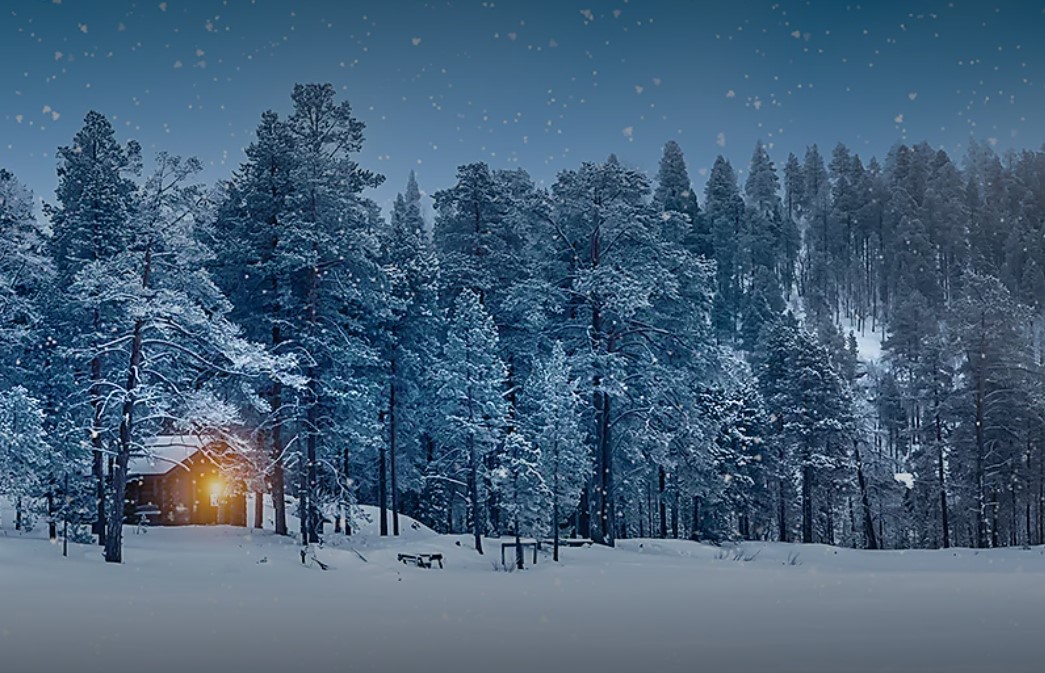 THE GULF OF BOTHNIA, AT THE GATEWAY TO THE ARCTIC