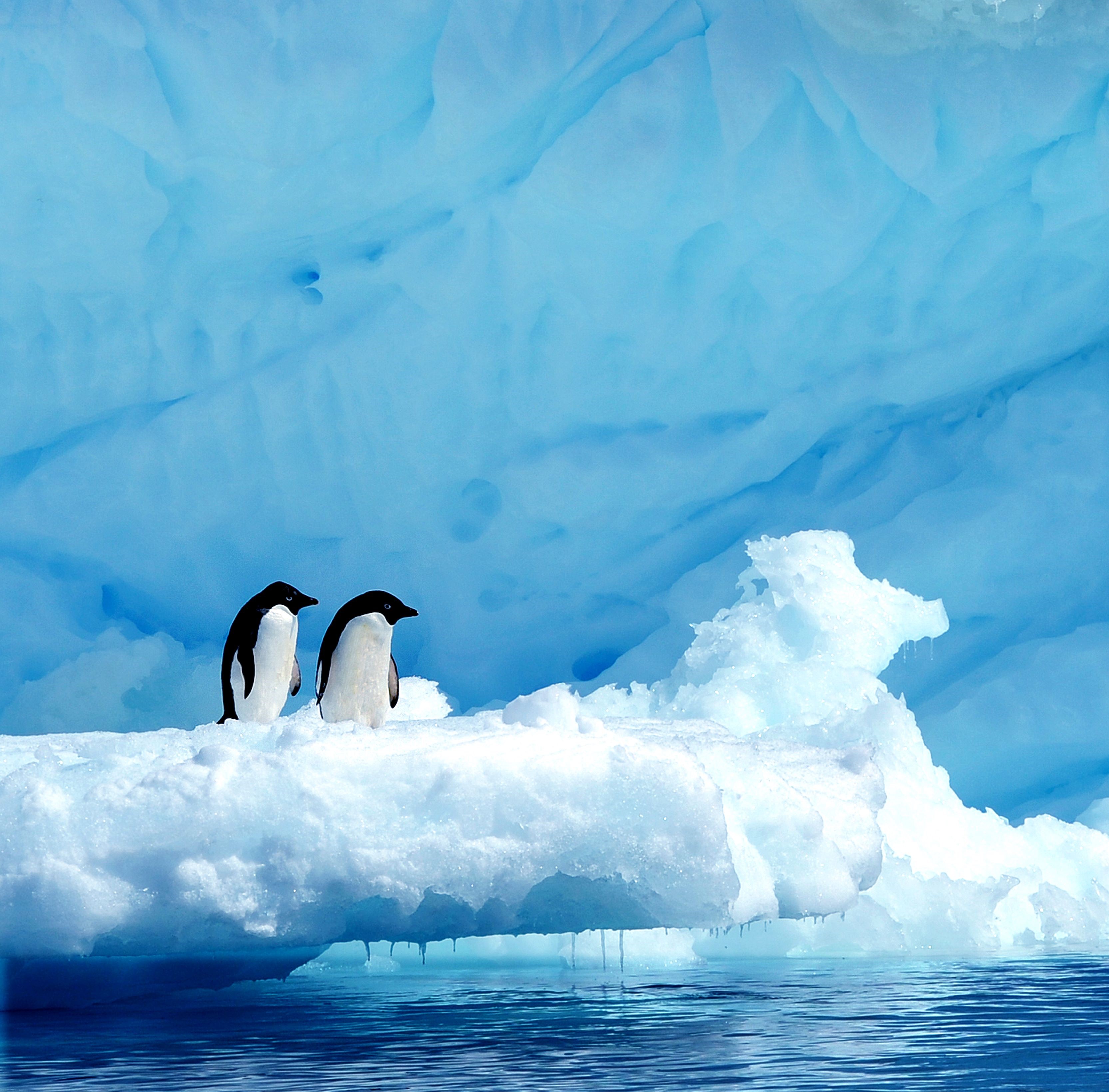 ANTARCTICA: OCEAN (RE)IMAGINED - WITH WOODS HOLE OCEANOGRAPHIC INSTITUTION