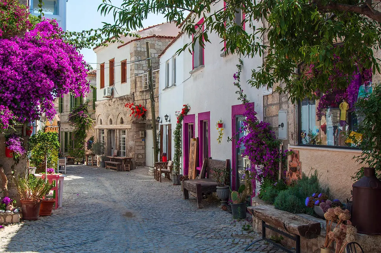 Explorers Choice Elevated