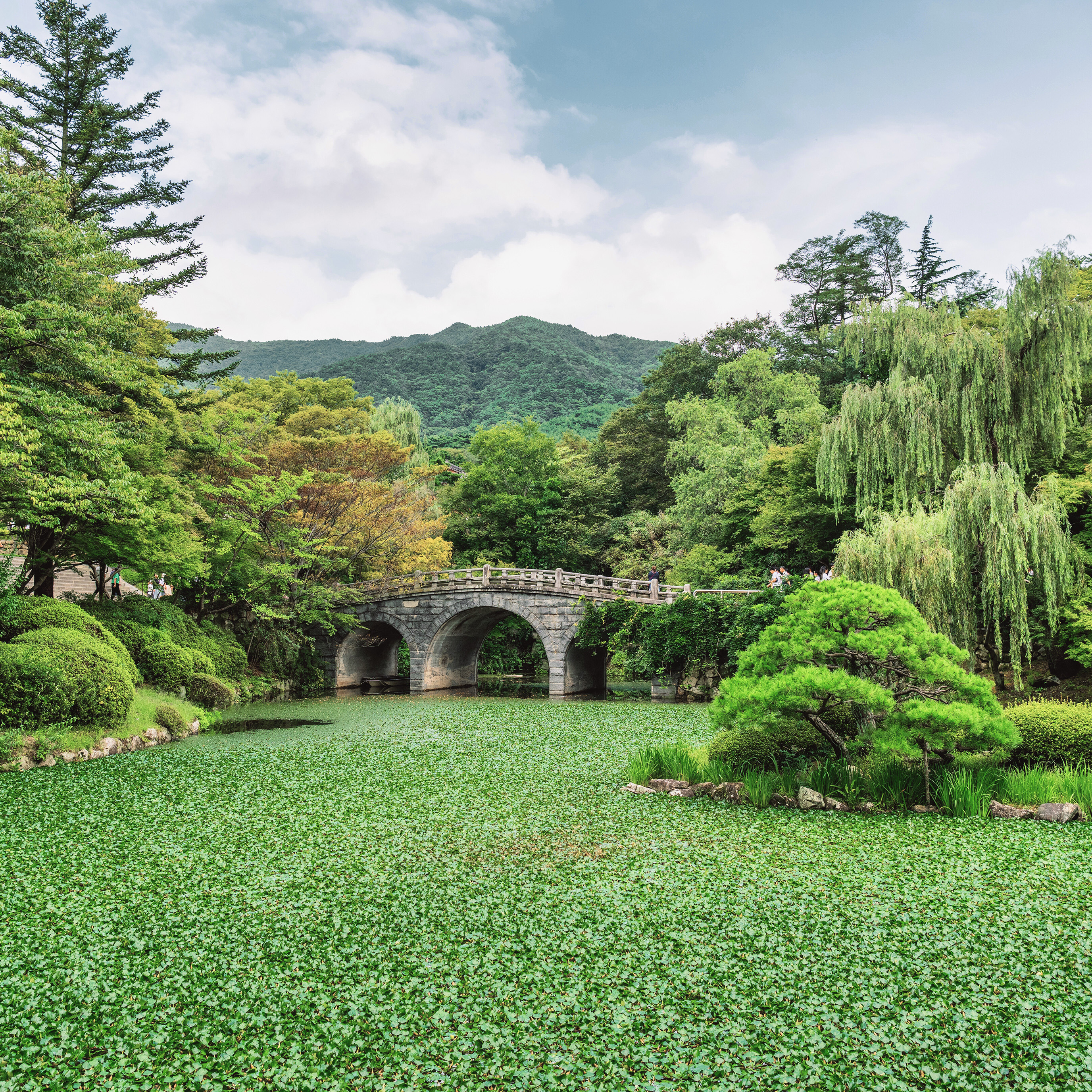 Coastal Japan: Imperial Dynasties and Modern Culture