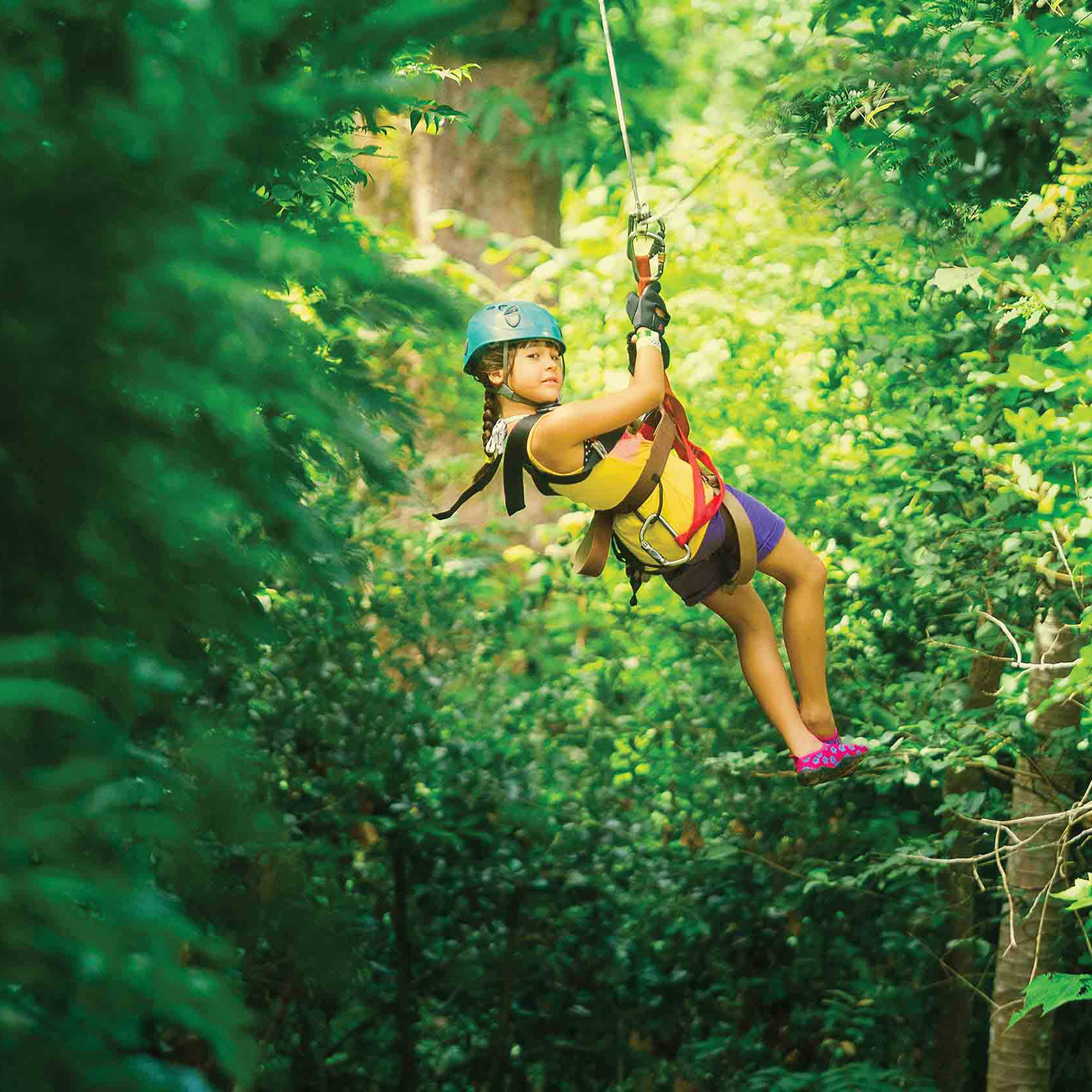 Costa Rica: Jungles & Rainforests