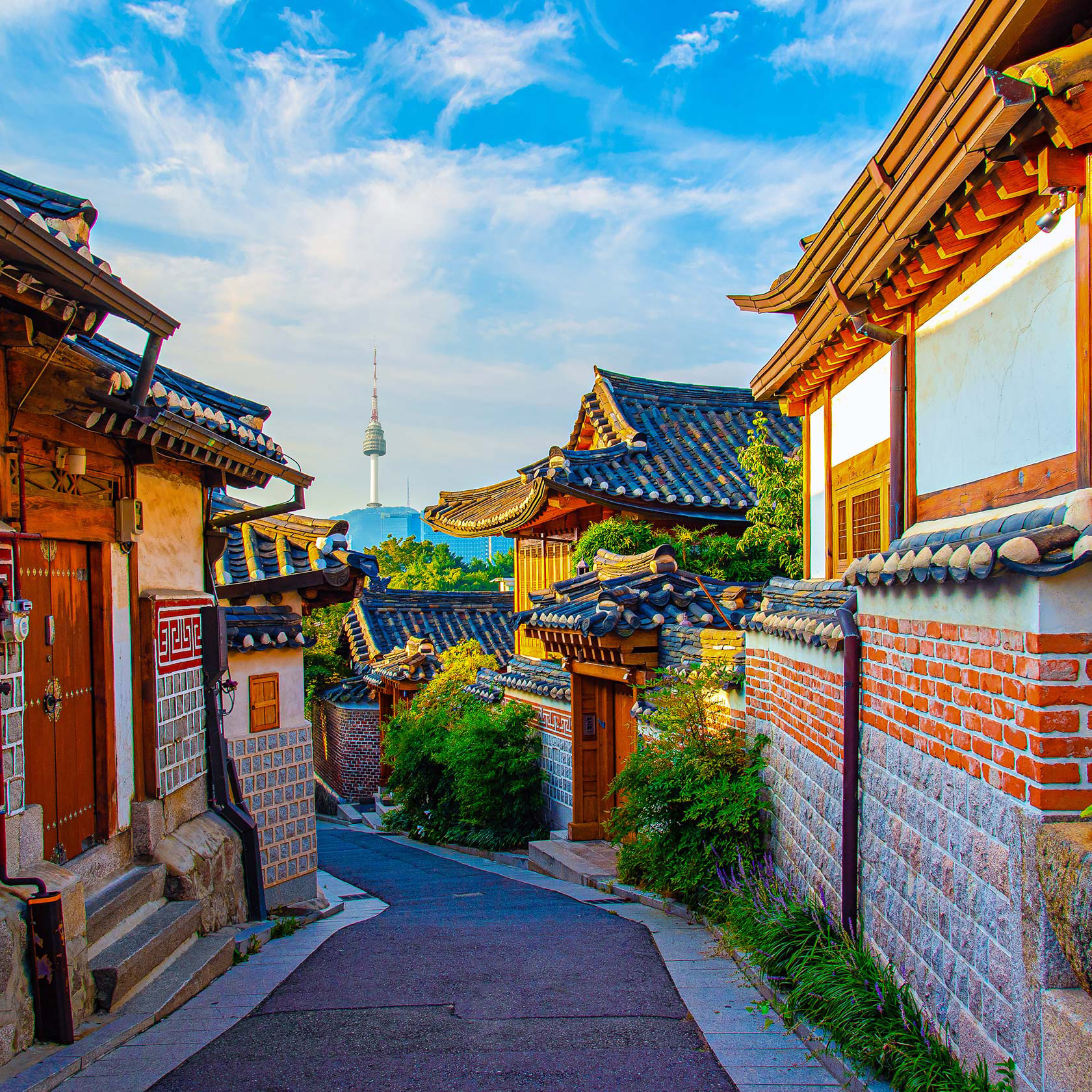 Sakura Seas: South Korea & Japan