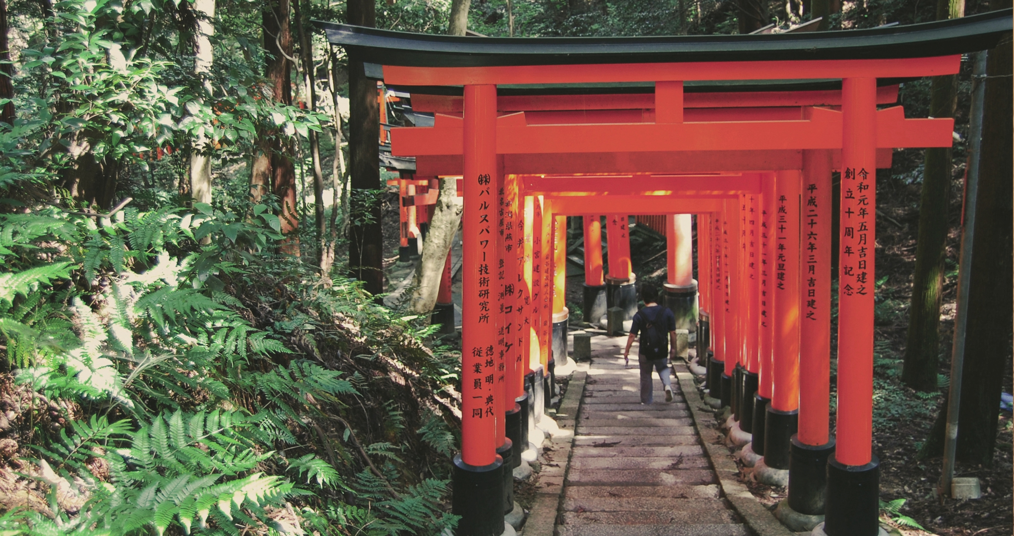 Fushimi Inari Hike
