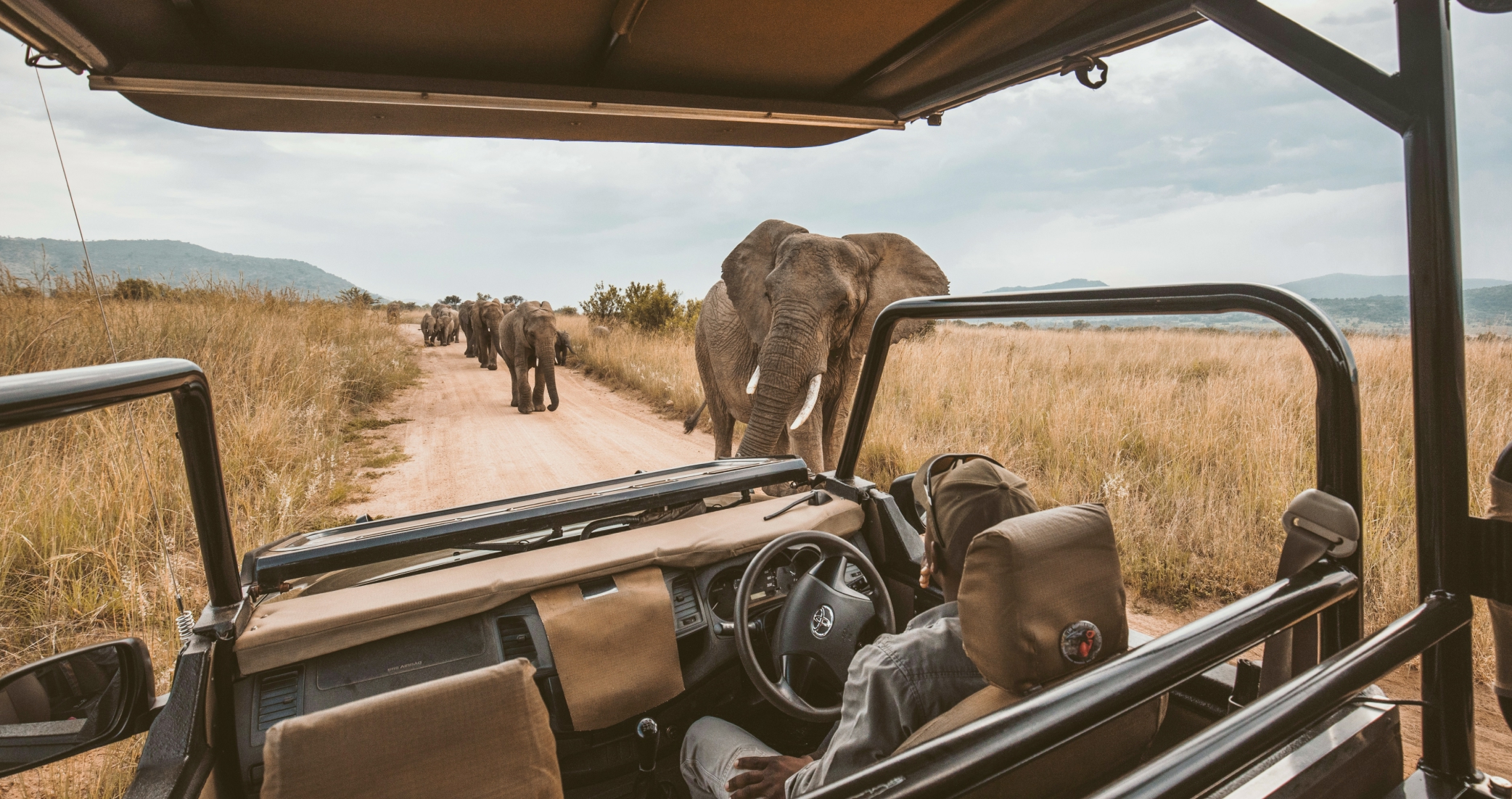 Safari at Marataba Safari Lodge