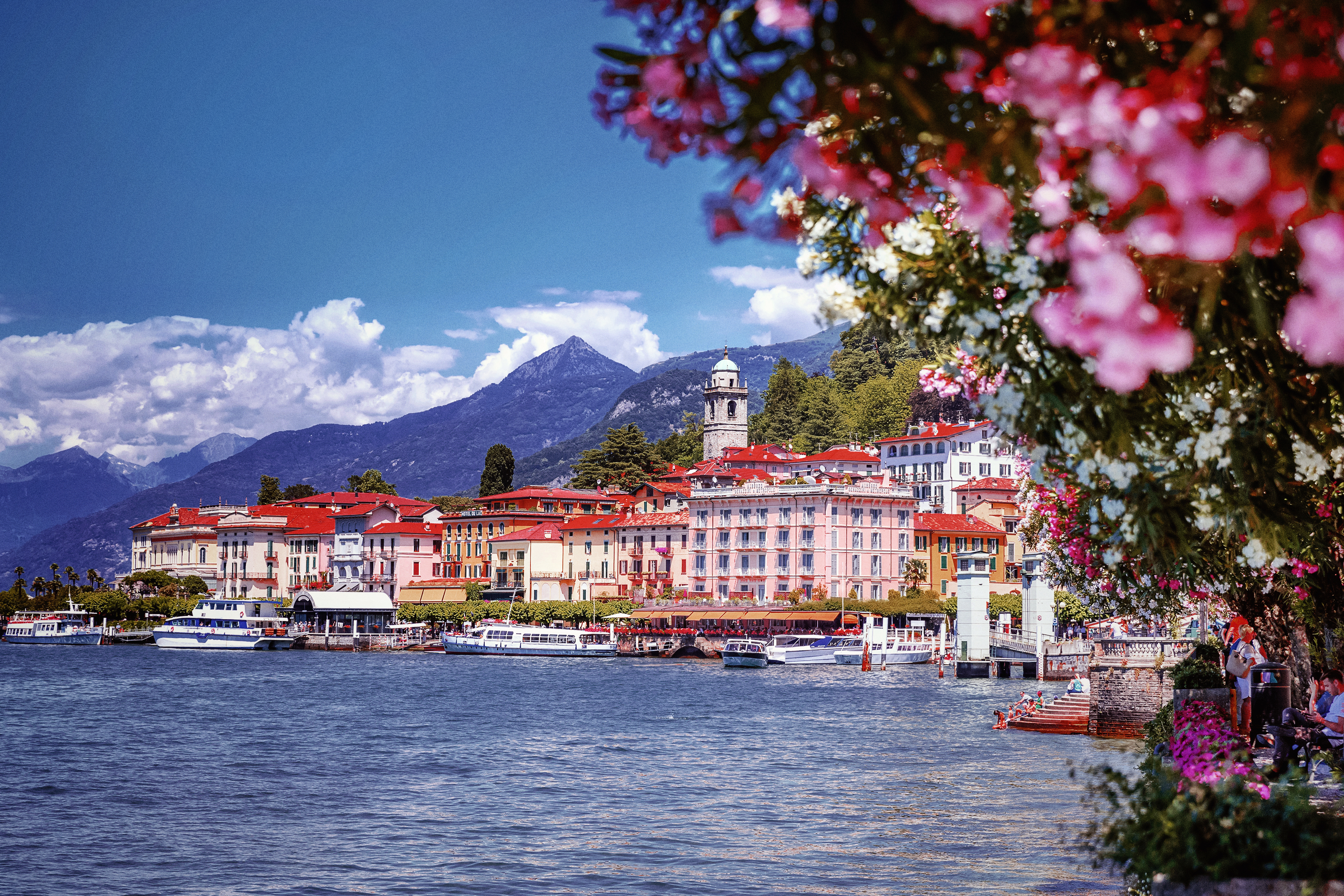 Swiss Alps & Rhine Castles