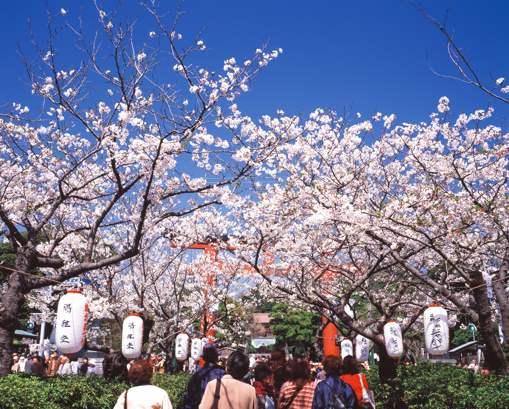 Breathtaking Natural Landscapes