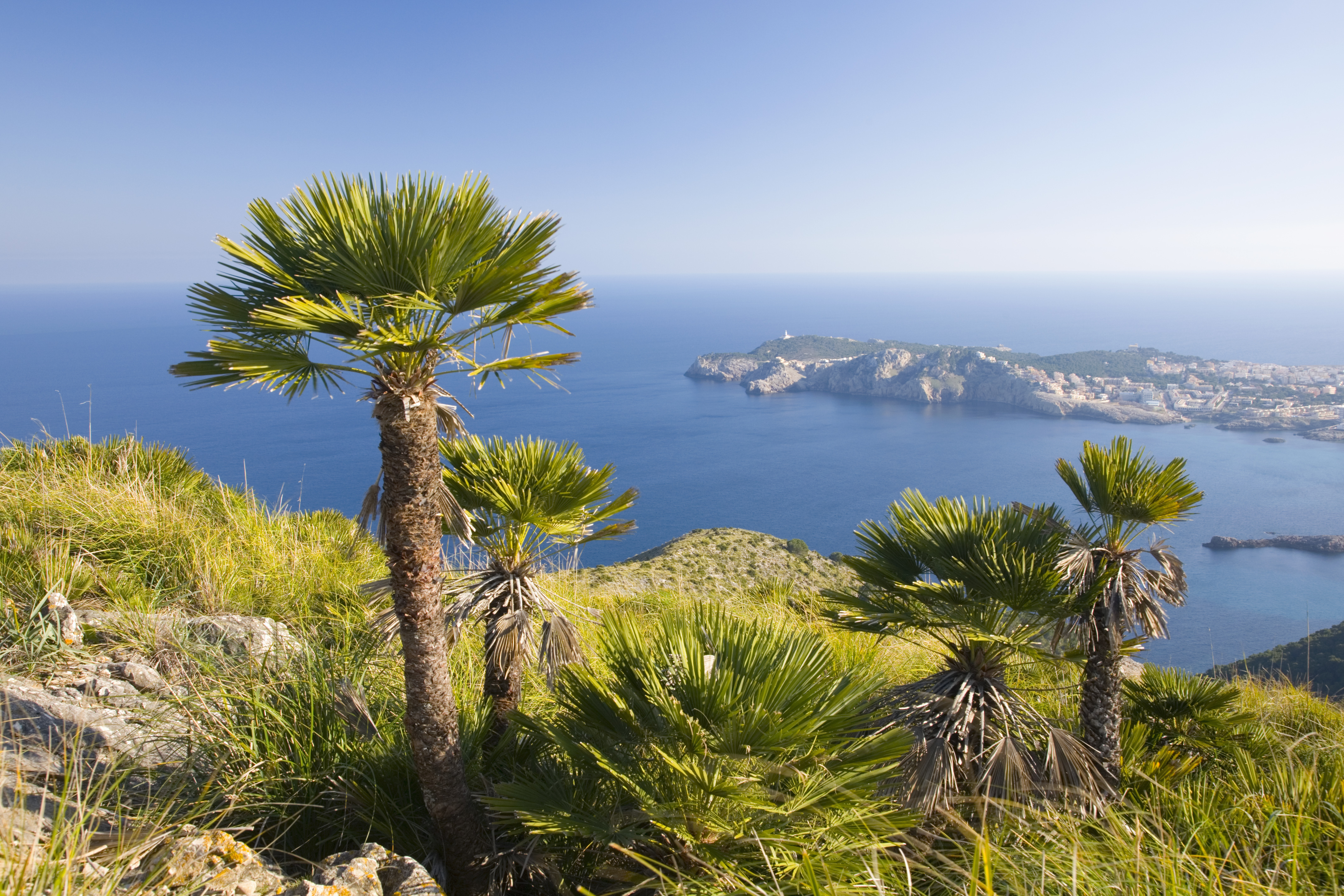 A Journey of Treasured Secrets & Chic Promenades